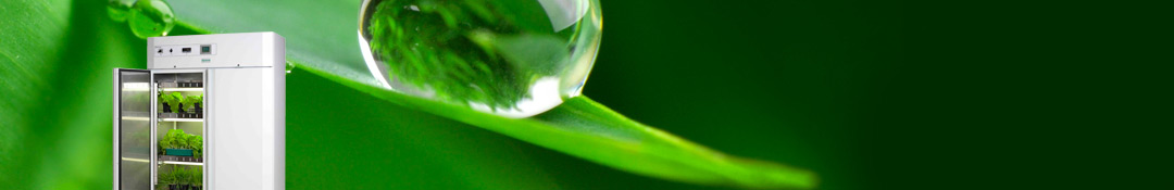 banner image banner image
