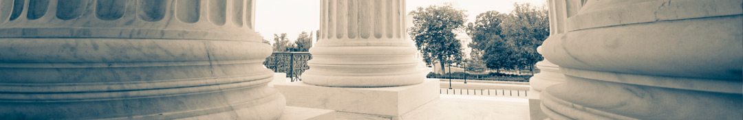 banner image banner image